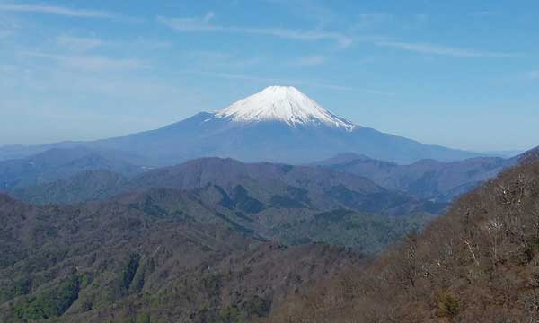 ��������̒���