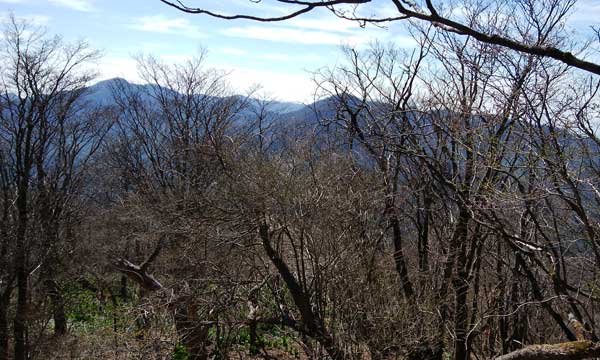 �厺�R����̒���