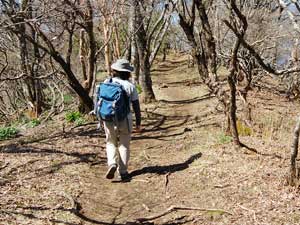 ���R�J�n�`�`