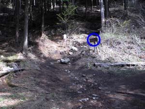 �ܑ��H�͏I�_