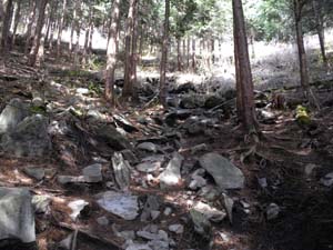 �ܑ��H�I�_����̓o�R���B