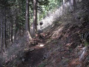 ���т�i�ށ`