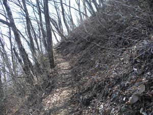 �S���E�c�c�W����̓o�R���B