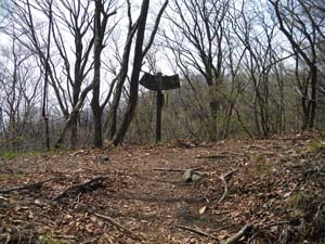 �W���������E�E�E