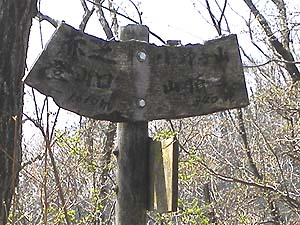 �W���������E�E�E