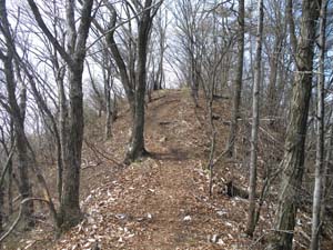 ���������R�������`�`�I�H