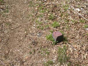 �s�[�N�ɂ́A���E��