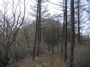 ���̐�ɂ́A�܂��R���E�E�E