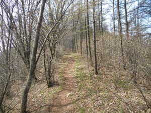 ����ɐi��Ł`