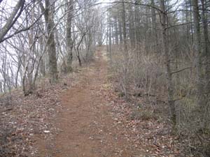 �X�ɁA����ɐi��Ł`�`