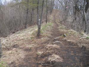 �R������̓o�R���B