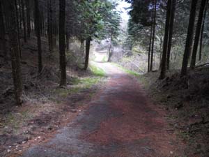 �}�ȕܑ��H��i�ށ`