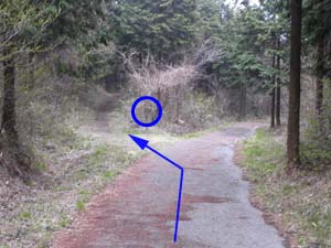 �ܑ��H����̕���