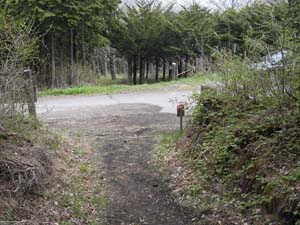 �o�R���������Ă����`