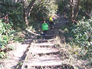 ����_����̓o�R���B