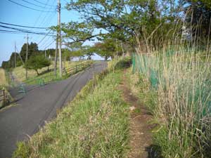 �A�X�t�@���g�̓�