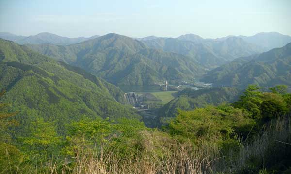 �R���t�߂���̒���