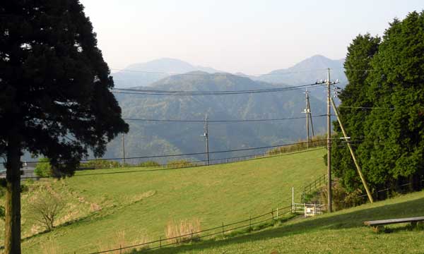 �R���t�߂���̒���