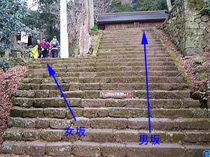 ����ƒj��̕���