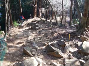 �s���K���򂩂�̓o�R���B