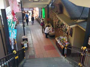 ���܎Q����i�ށ`