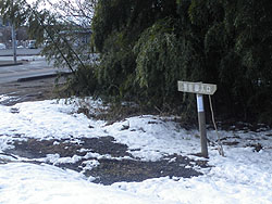 �j���R�����̕W��