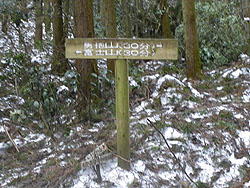 ����_�̕W��