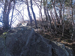 ���[�v���ݒu