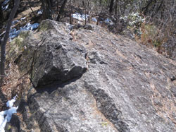 ���W�]��