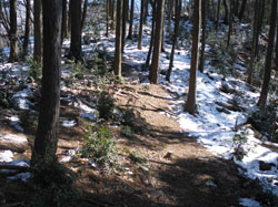 �o�R���́A�ɂ₩�`