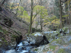 �Δ�H�Γ��H