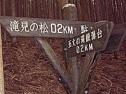 ����̕W��