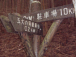 ����̕W��