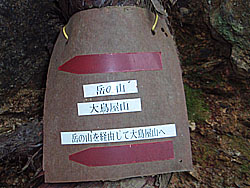 ��������ȕW��