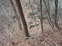 �}���z�̉����