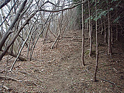 �����̓�