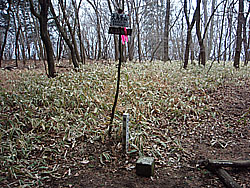 �咹���R �R��