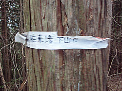 ���ԏ�ւ̖ڈ�