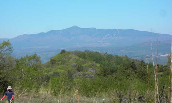 ���ԏꂩ��̒���