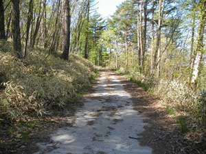 ���ԏꂩ�瑱���ܑ��H