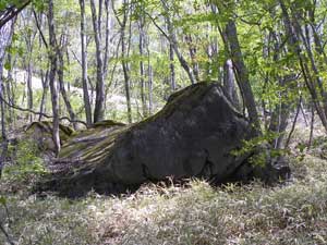 ���݂���