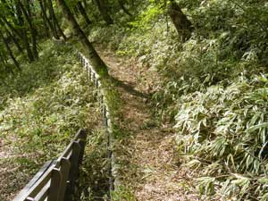 ���ԏꂩ��̓o�R���B