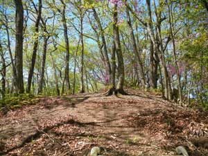 �ؒi�����l�߂�ƎR��