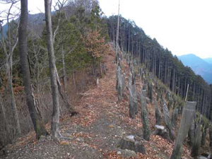 �A�ђn�̔���