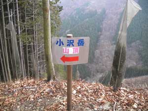 �V���߂̕W��