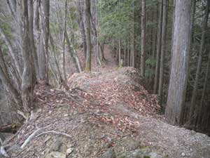 4�ڂ̋��΂���̓o�R���B