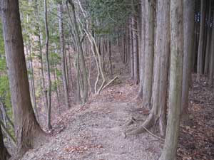 5�ڂ̋��΂���̓o�R���B