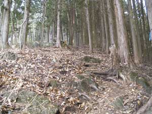 �Γx���������o�R���B