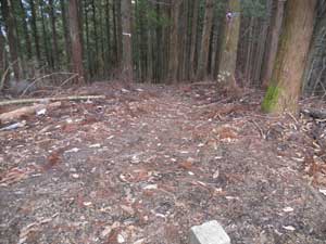 �O�q�􂩂�̓o�R���B