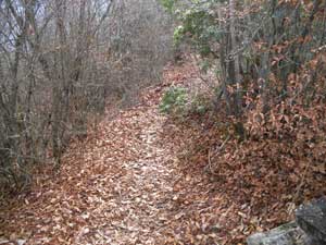 ���R�J�n�`�`